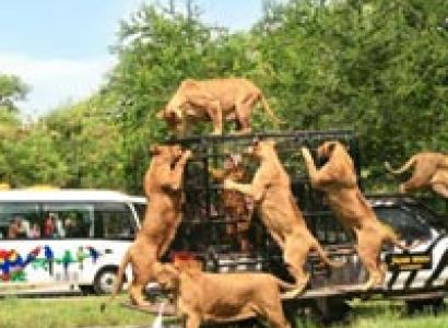 Simply Thailand Tour