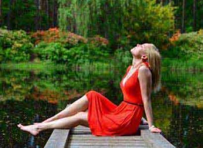 Pollachi, Topslip, Valparai Tour