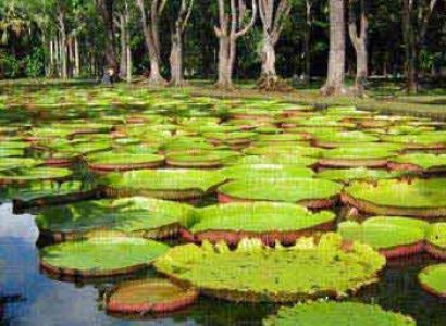 Mauritius Tour