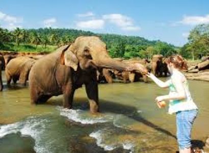 Srilanka Tour 6 Days Tour