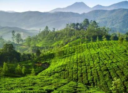 Students Munnar, Cochin, Athirampalli Tour 5 Days