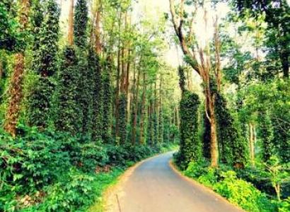 3 Night 4 Day Yercaud Tour
