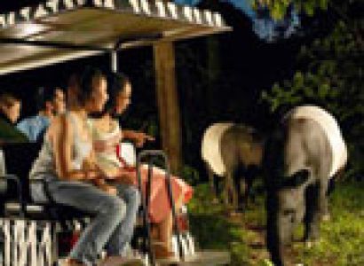 3 Nights / 4 Days Singapore Tour Package