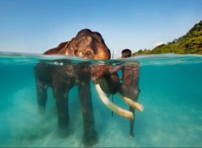 Andaman Tour from Chennai Travel Ahead Holidays