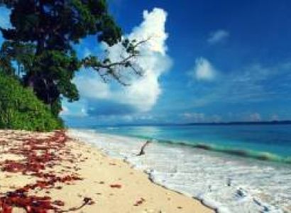 Andaman Tour from Chennai Travel Ahead Holidays