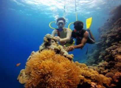 Stay Day Trip Havelock Tour