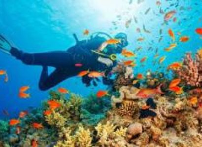 Andaman Tour Pacakge 5 Night 6 Days