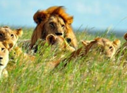 Packages in Victoria