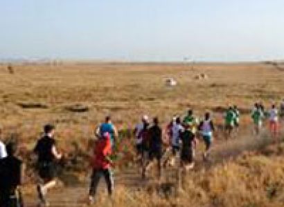 4 Nights Kenya  Special (4 star) Tour