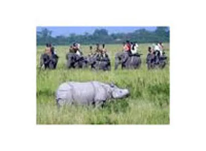 Kaziranga National Park