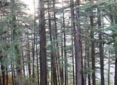 Budget hotel in Dhanaulti Tour
