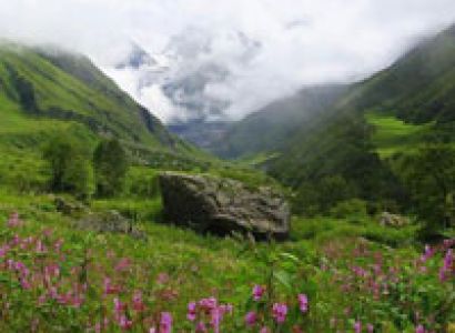 Valley of flower tour package