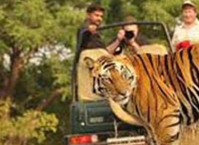 Corbett Nainital Tour