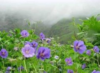 Valley of Flower Package Tour