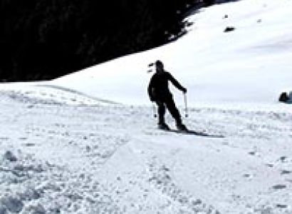 Auli Tour Package