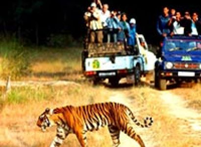 Corbett National Park Tour Packages