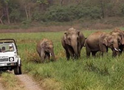 Corbett National Park Tour Packages
