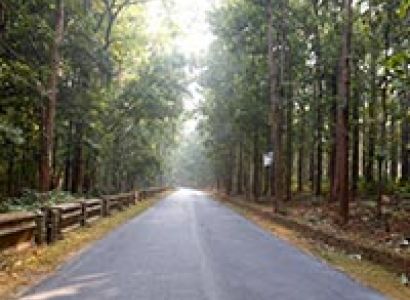 Corbett National Park Tour Packages