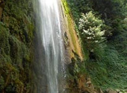 Corbett National Park Tour Packages