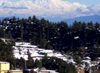Dhanaulti Tour Package 