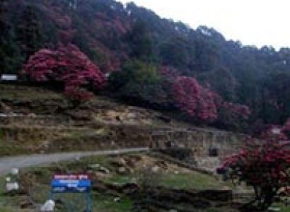 Chopta Luxury Tour
