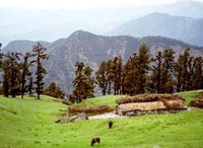 Chopta Luxury Tour
