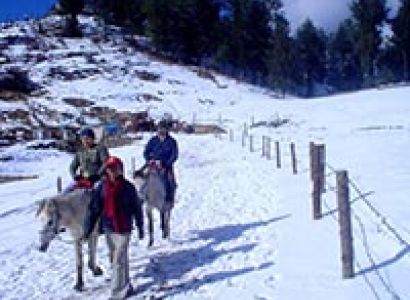 02 Nights/ 03 Days Shimla Tour package 