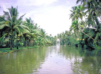 Kerala Tour package Cochin - Munnar - Alleppy - Cochin -Cochin 