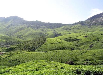 Kerala Honey Moon Tour Package 