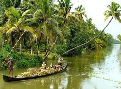 Kerala Honey Moon Tour Package 