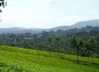 Ooty - Kodaikanal Deluxe Tour 