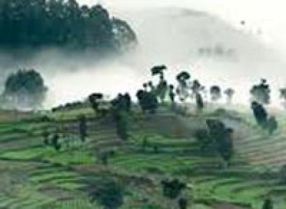 Ooty - Kodaikanal Deluxe Tour 