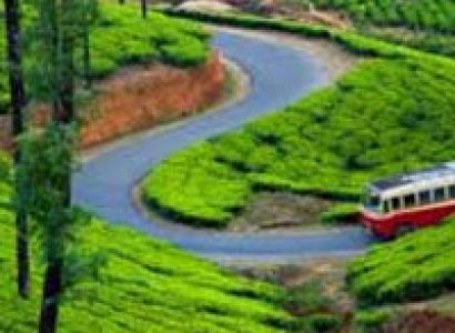 Kerala Hill Station Tour Package