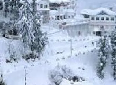 Shimla Manali Honeymoon Tour