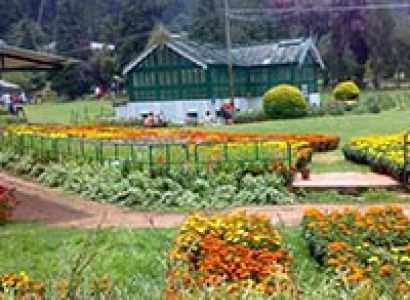 Ooty Botanical garden