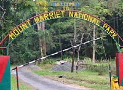 Group Standard Package - ( 7N / 8D )