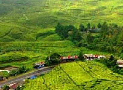 Jakarta - Punchak - Bandung Tour