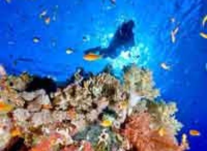 Andaman Honeymoon Ship Tour