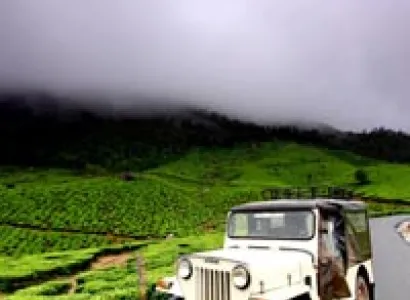 Amazing Kerala Tour