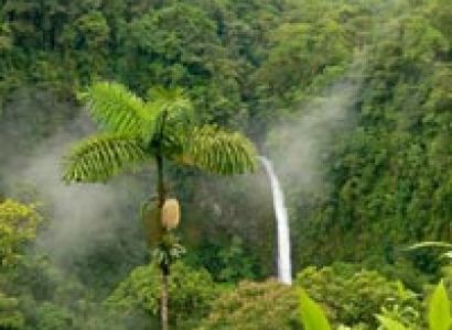 Packages in Thekkady