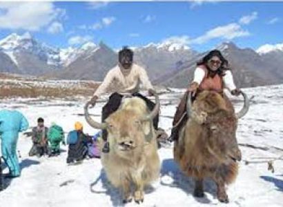 Shimla Manali Honeymoon Tour