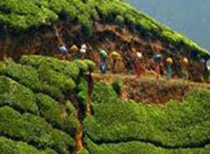 Golden Triangle Tour