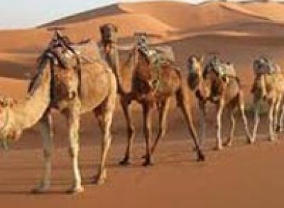 Blissful Rajasthan Tour