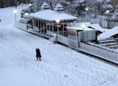 Shimla Calling Tour pacfkage