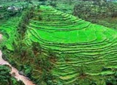 Gems of North East India Package