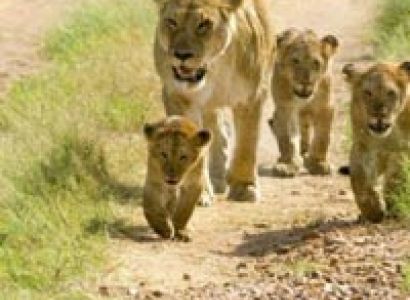 Jamnagar - Rajkot Tour Package