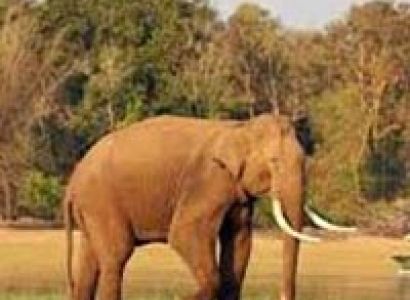 Coorg Tour with Kabini