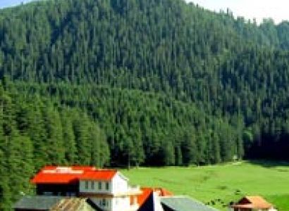 Offer Package Dalhousie