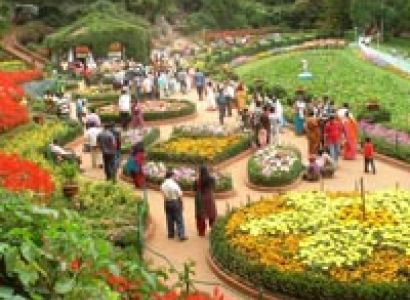 Honeymoon In Ooty Package