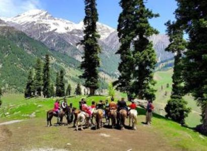 7N/8D Katra Kashmir Group Tour